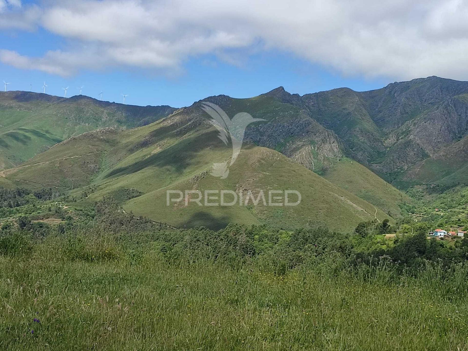 Venda de terreno com ruinas