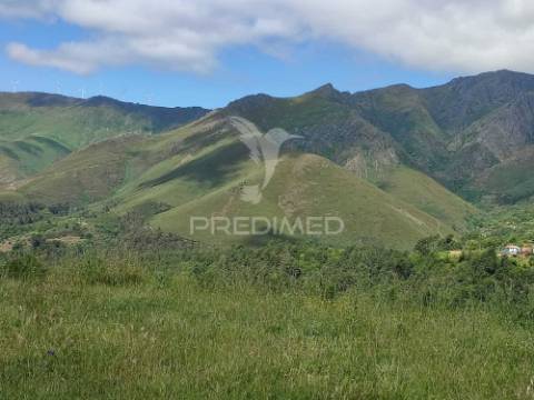 Venda de terreno com ruinas