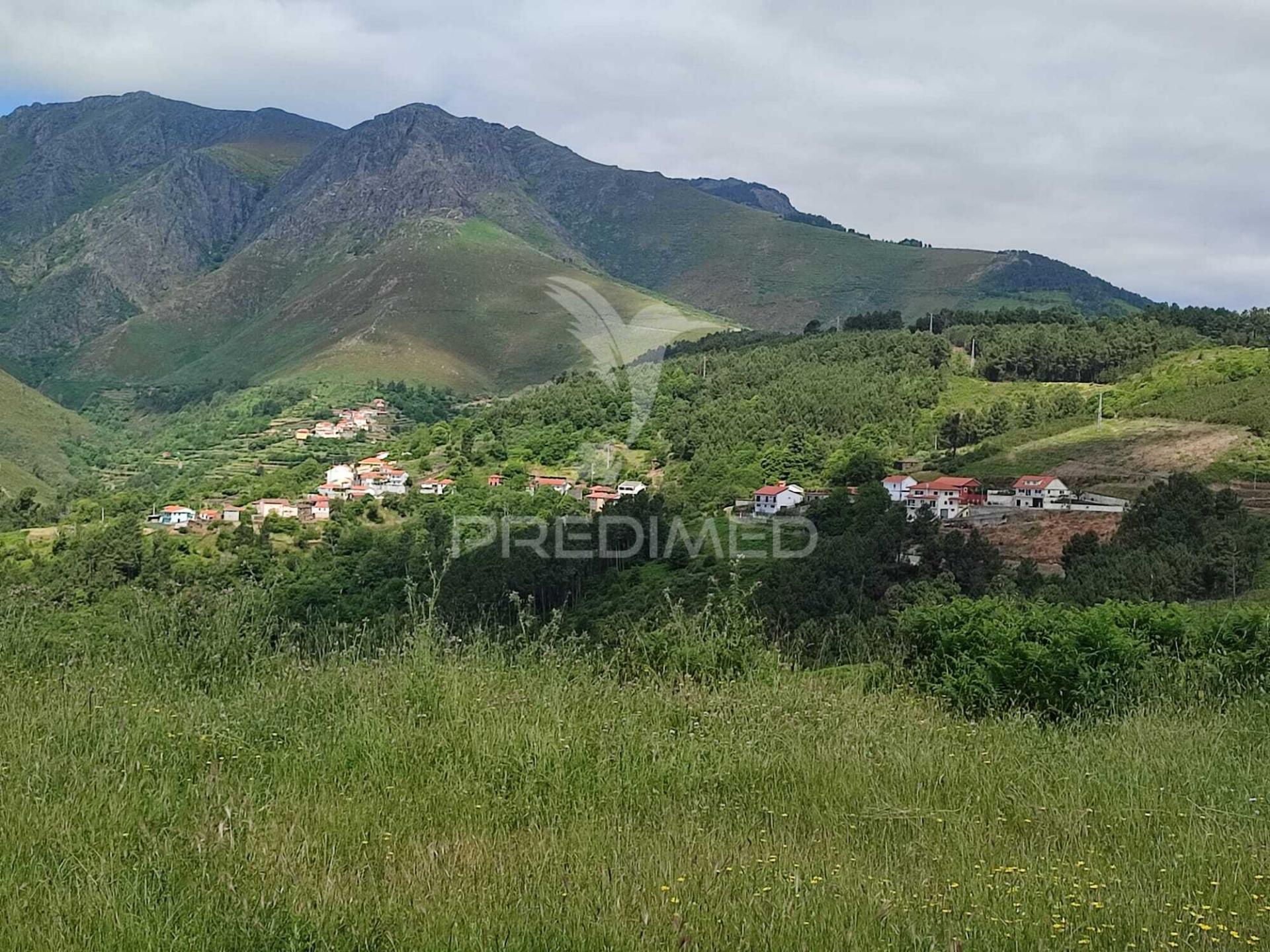 Venda de terreno com ruinas