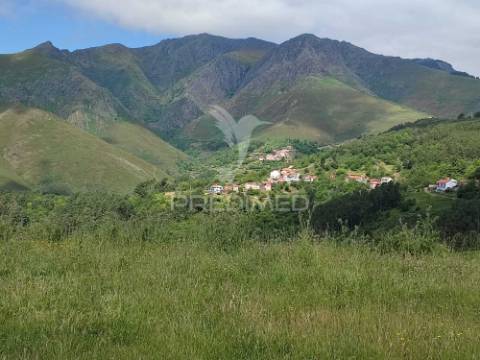 Venda de terreno com ruinas