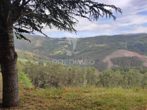 Venda de terreno com ruinas