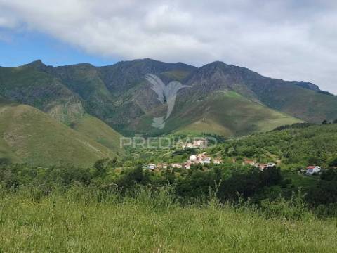 Venda de terreno com ruinas