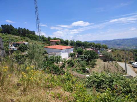 Venda de terreno com ruinas