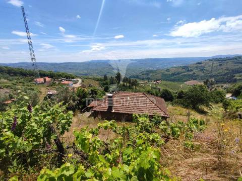 Venda de terreno com ruinas