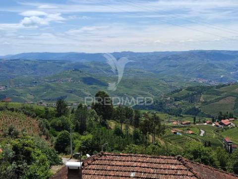 Venda de terreno com ruinas