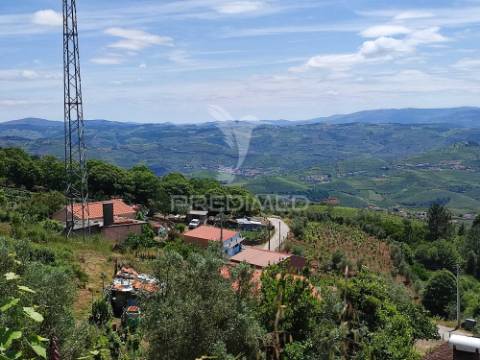 Venda de terreno com ruinas