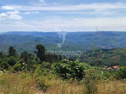 Venda de terreno com ruinas