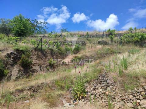 Venda de terreno com ruinas
