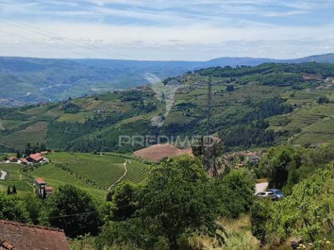 Venda de terreno com ruinas