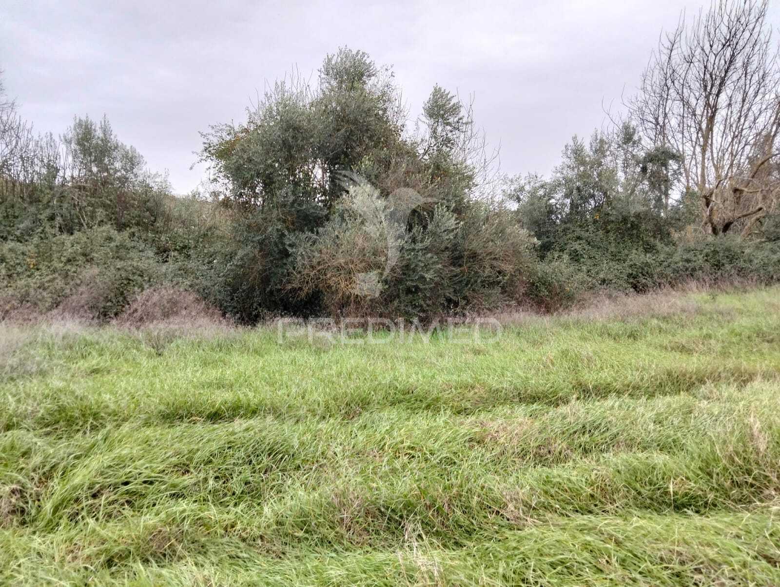 Propriedade rústica com 9.750 m² em juromenha – alandroal