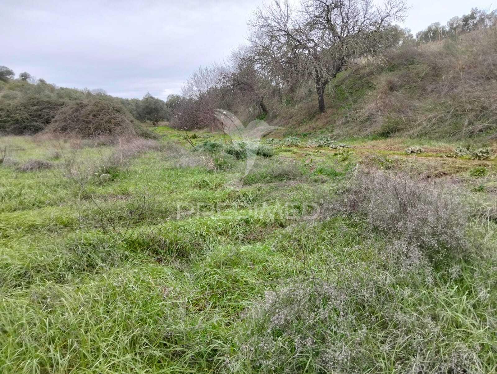 Propriedade rústica com 9.750 m² em juromenha – alandroal