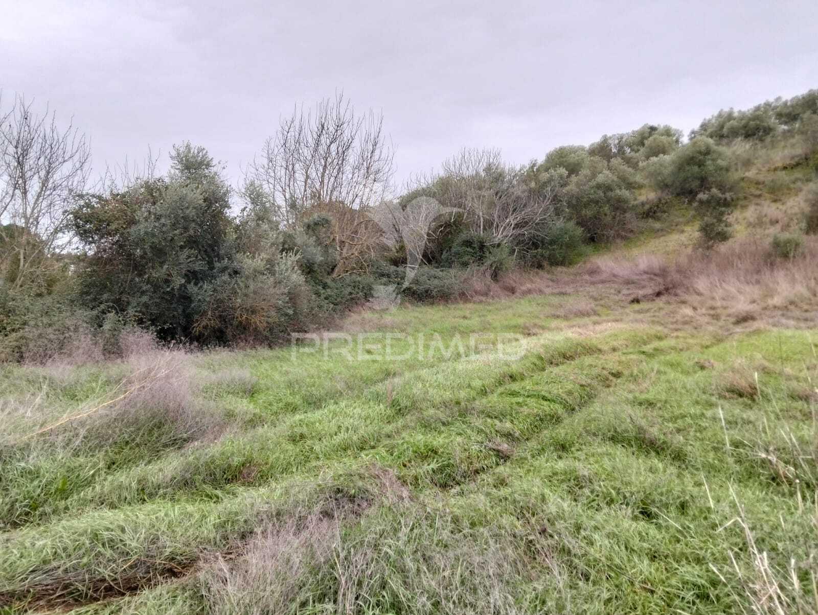 Propriedade rústica com 9.750 m² em juromenha – alandroal