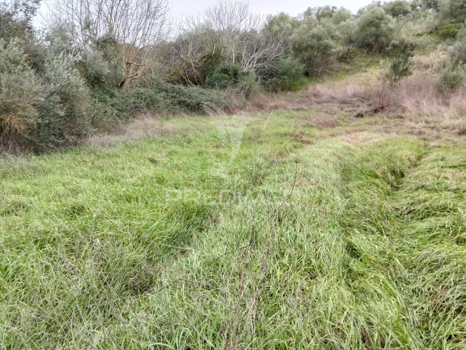 Propriedade rústica com 9.750 m² em juromenha – alandroal