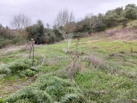 Propriedade rústica com 9.750 m² em juromenha – alandroal