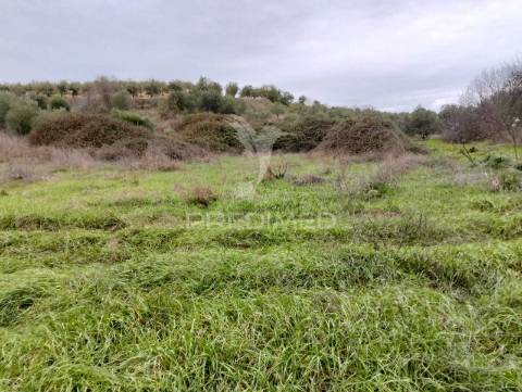 Propriedade rústica com 9.750 m² em juromenha – alandroal