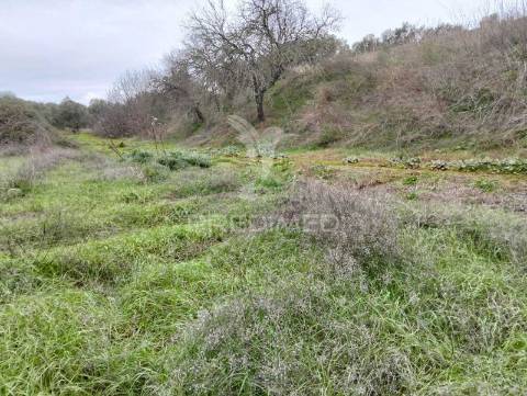 Propriedade rústica com 9.750 m² em juromenha – alandroal