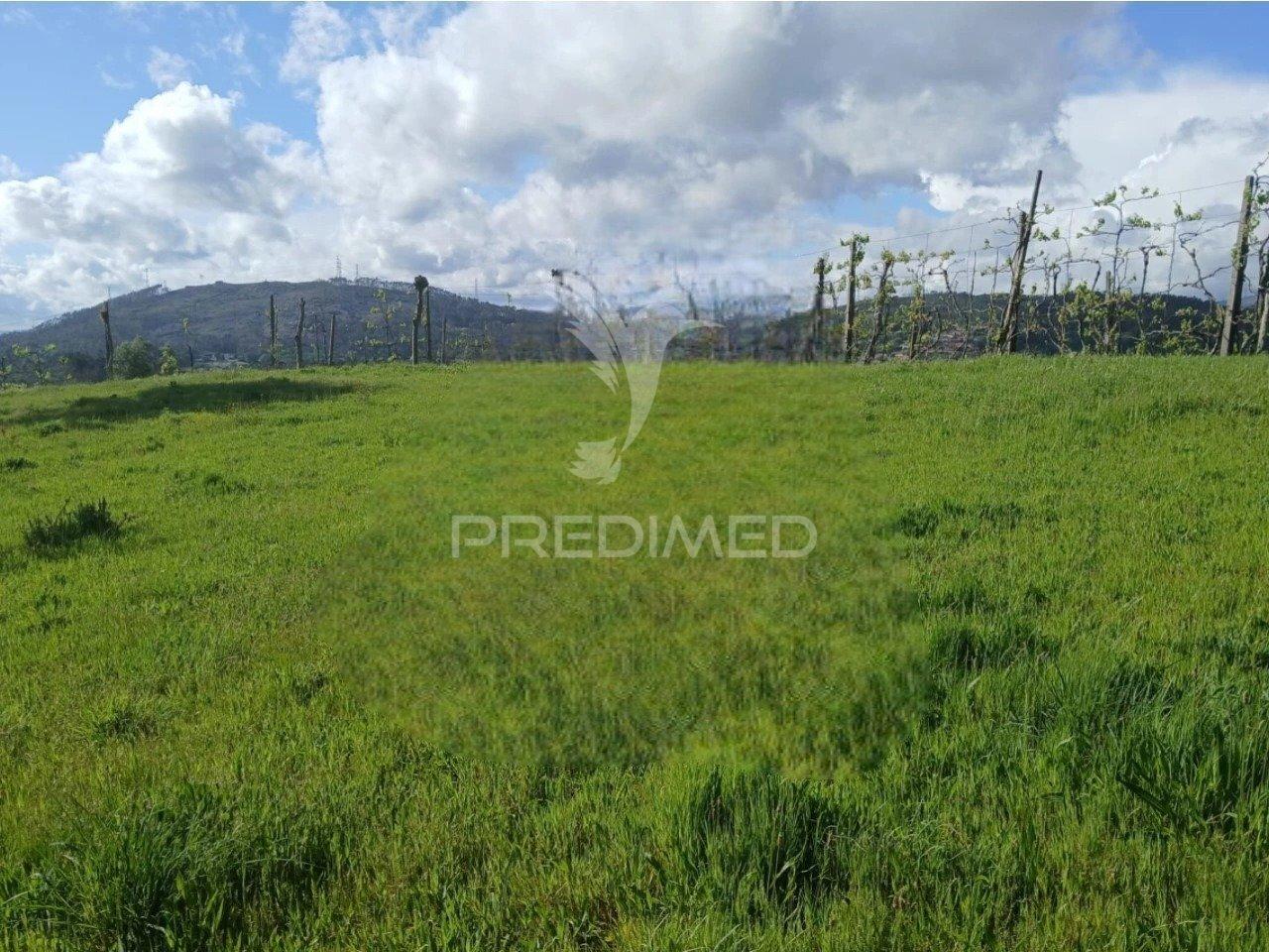 Terreno rústico em calvos e frades – póvoa de lanhoso