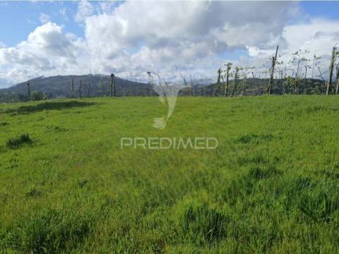 Terreno rústico em calvos e frades – póvoa de lanhoso