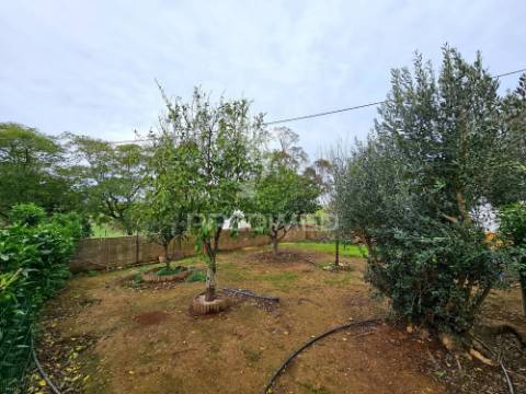 Moradia t2 e terreno urbano no rolão, castro verde