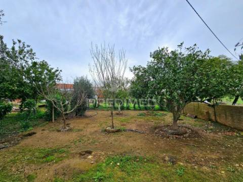 Moradia t2 e terreno urbano no rolão, castro verde