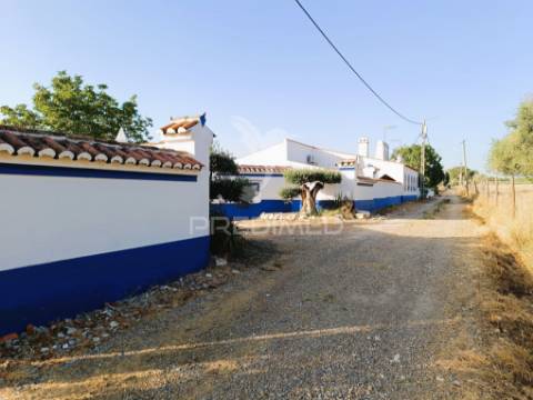 Quinta da balofa, próxima de estremoz com 11625 m2