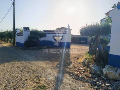 Quinta da balofa, próxima de estremoz com 11625 m2