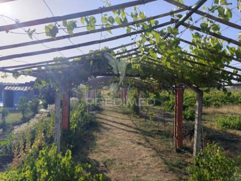 Quinta da balofa, próxima de estremoz com 11625 m2