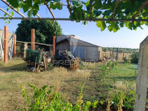 Quinta da balofa, próxima de estremoz com 11625 m2