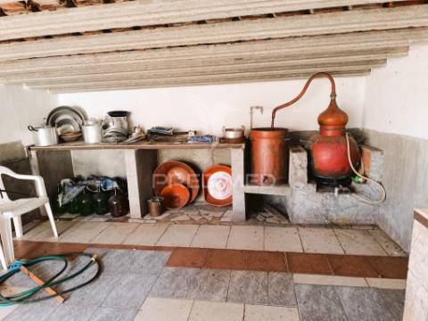 Quinta da balofa, próxima de estremoz com 11625 m2