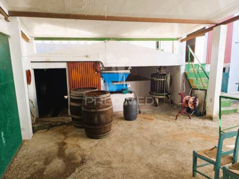 Quinta da balofa, próxima de estremoz com 11625 m2