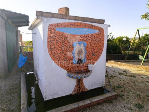 Quinta da balofa, próxima de estremoz com 11625 m2