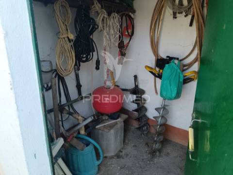 Quinta da balofa, próxima de estremoz com 11625 m2