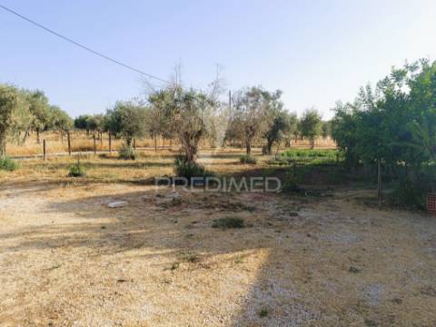 Quinta da balofa, próxima de estremoz com 11625 m2