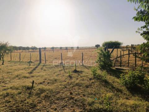 Quinta da balofa, próxima de estremoz com 11625 m2