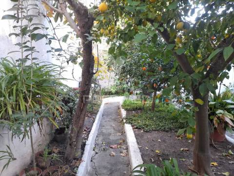 Moradia t5 em pias com quintal e garagem