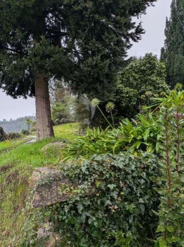 Palacete século xlx