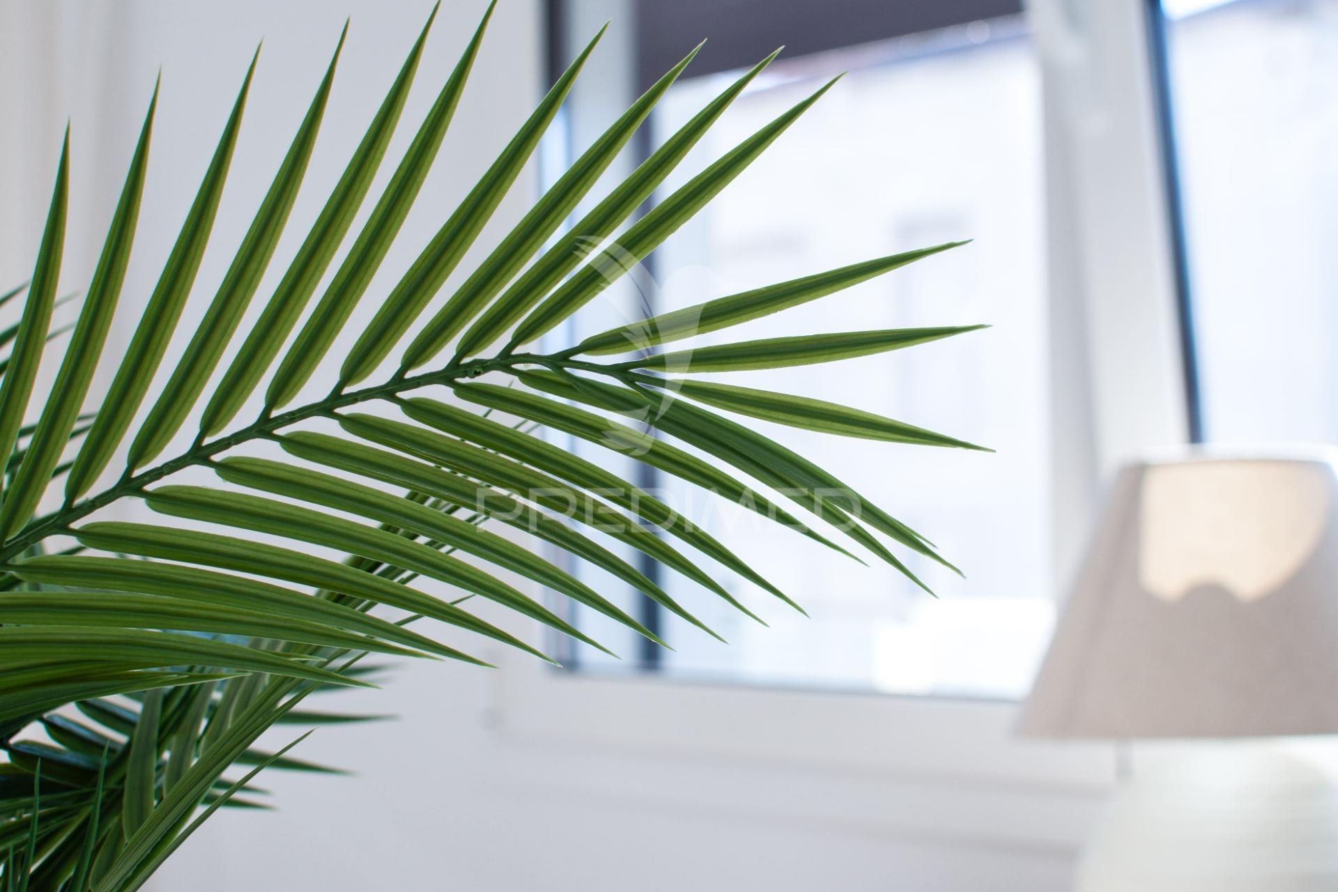 Arrendamento apartamento t3 em alcanena