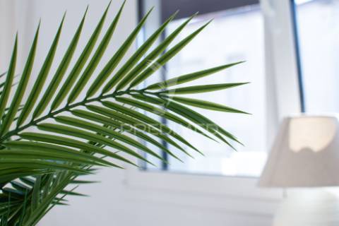 Arrendamento apartamento t3 em alcanena