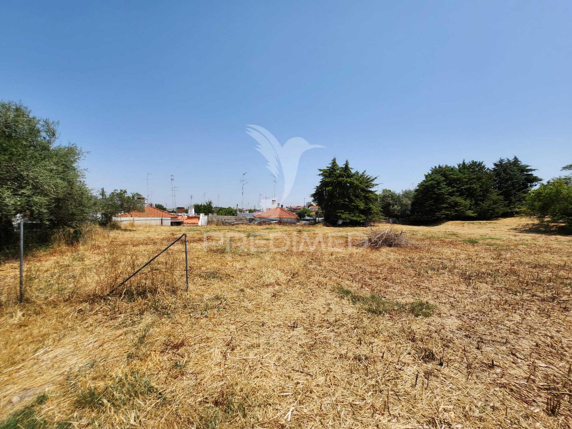 Quinta horta das laranjeiras elvas boa fé