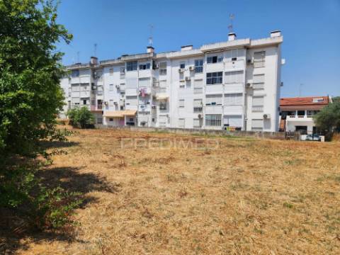 Quinta horta das laranjeiras elvas boa fé