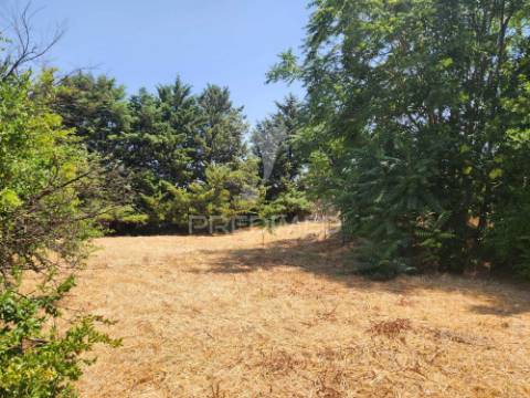 Quinta horta das laranjeiras elvas boa fé