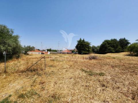 Quinta horta das laranjeiras elvas boa fé