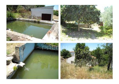 Quinta horta das laranjeiras elvas boa fé