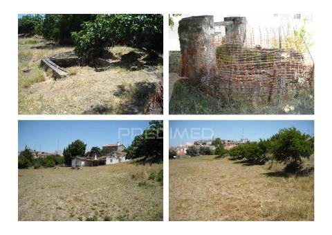 Quinta horta das laranjeiras elvas boa fé