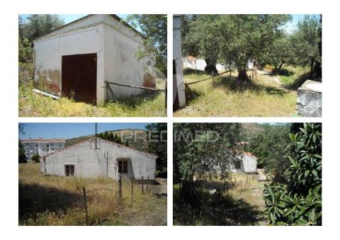 Quinta horta das laranjeiras elvas boa fé