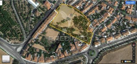 Quinta horta das laranjeiras elvas boa fé