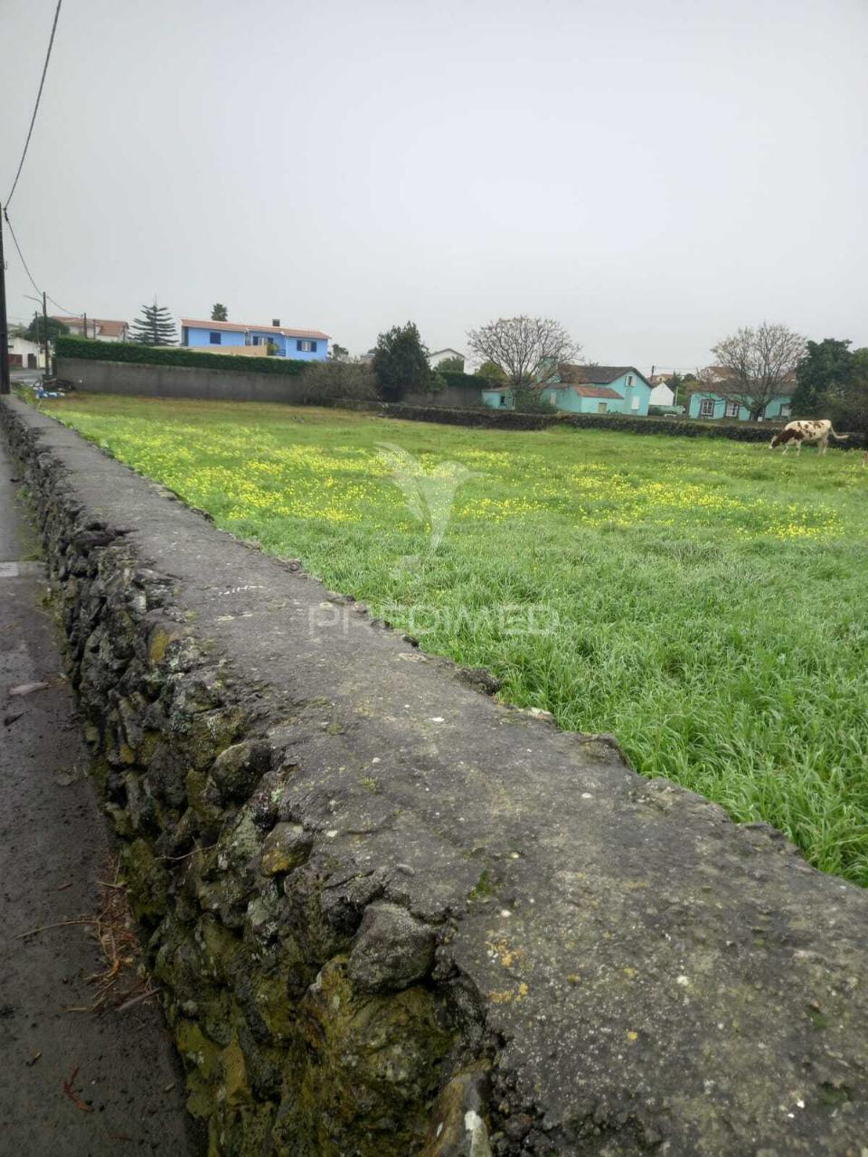 Terreno propício a construção