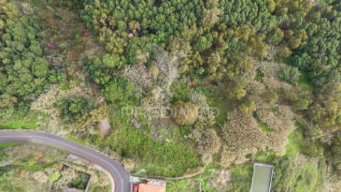 Terreno com ruina no caniço ilha da madeira