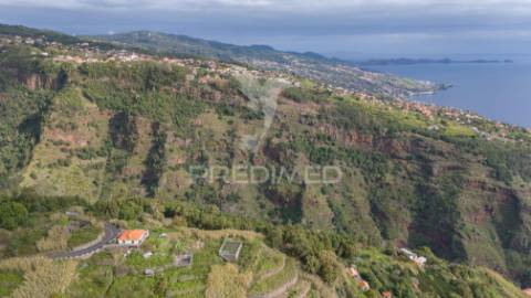 Terreno com ruina no caniço ilha da madeira