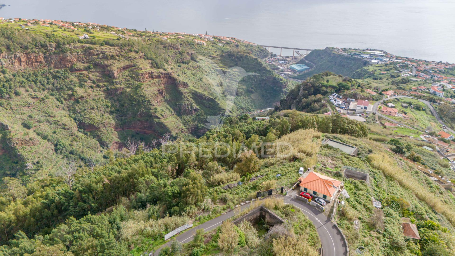 Terreno com ruina no caniço ilha da madeira